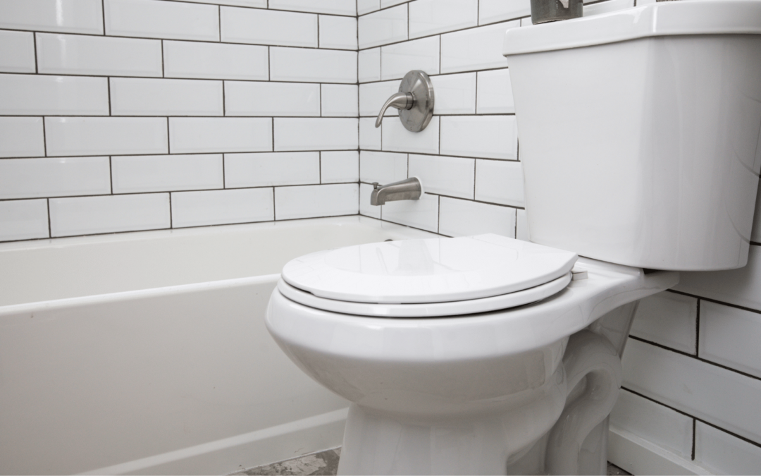 4 Types of Toilets for Your Bathroom